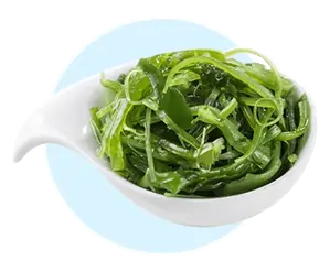 Brown seaweed from the ocean